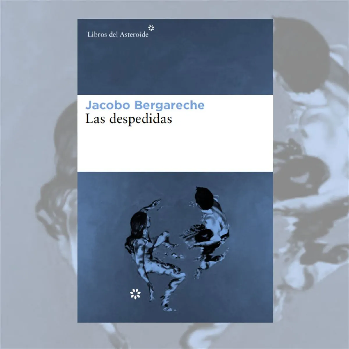 Las despedidas - Jacobo Bergareche