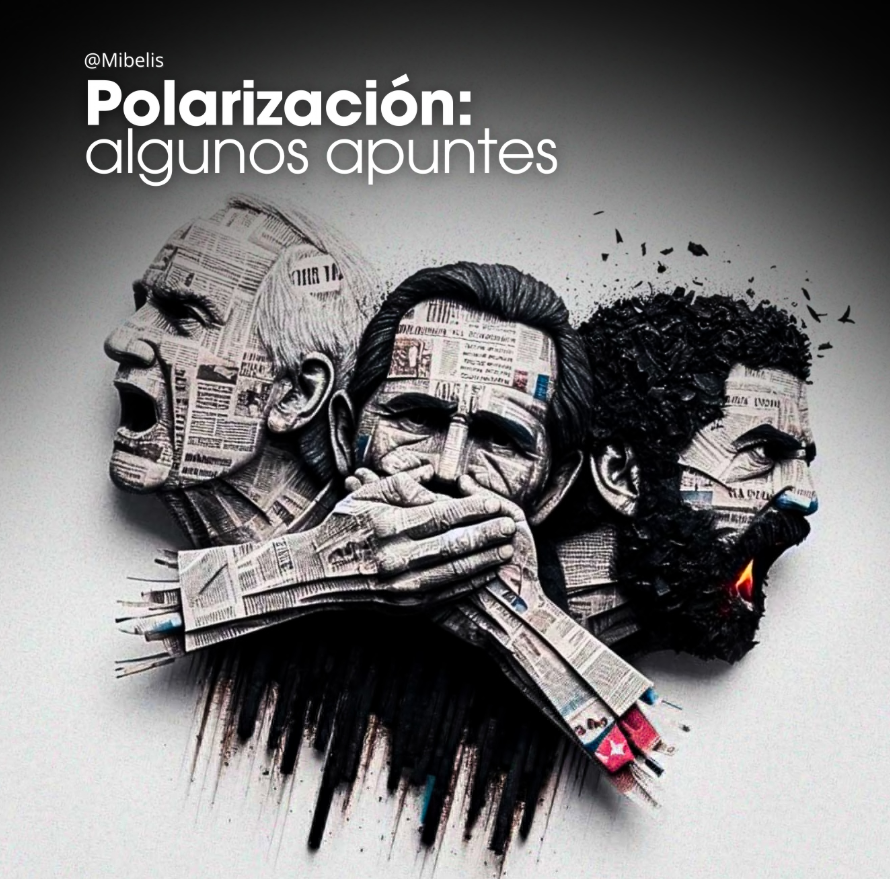Polarización: algunos apuntes - Mibelis Acevedo Donís