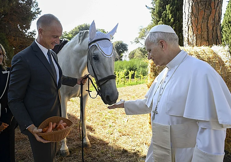 León XIV en la intimidad: el Papa que gobierna como juega al tenis - Javier Martínez-Broca