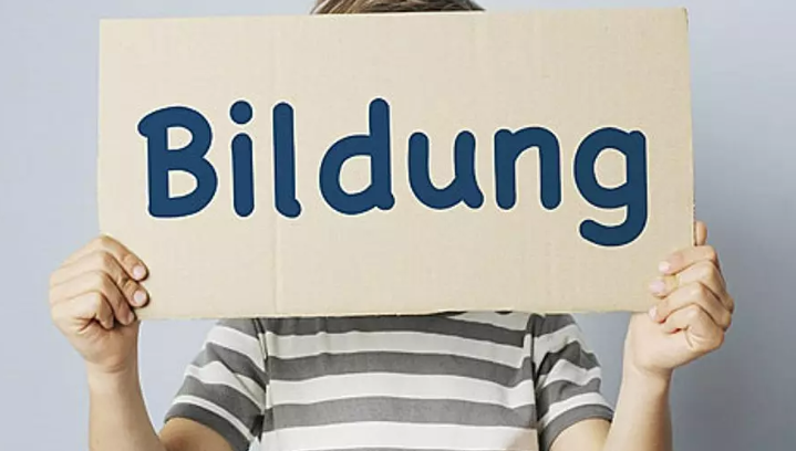 La "Bildung" cósmica - José Rafael Herrera